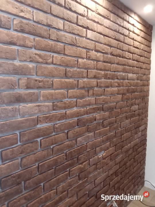 Remonty mieszkań i domów Poznań