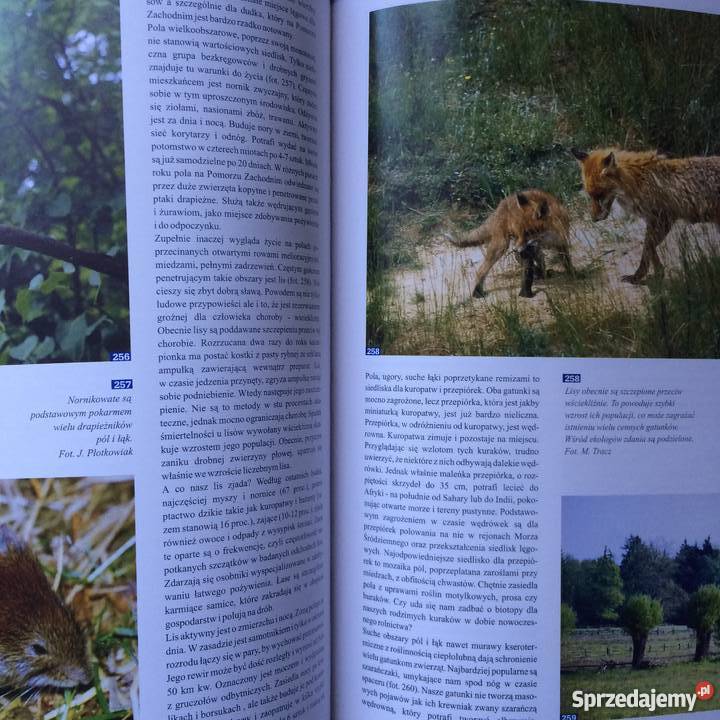 1084 Przyroda Pomorza Zachodniego