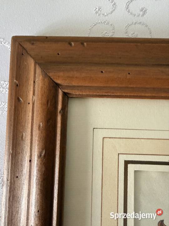 Antyczny Miedzioryt 1563 Oryginalny Starodruk Antyki