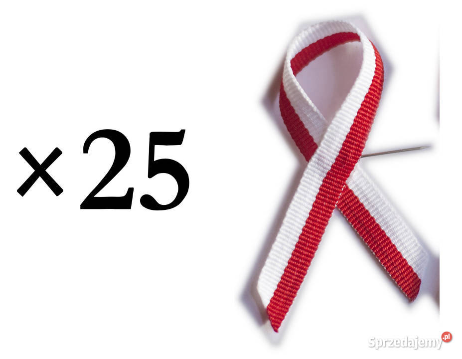 Kotylion x25 patriotyczny narodowy przypinki Bochnia