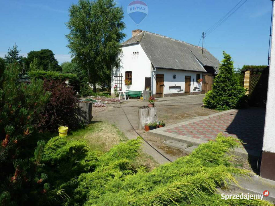 Działka zabudowana starą szkołąjezNiepruszewskie wielkopolskie Zborowo