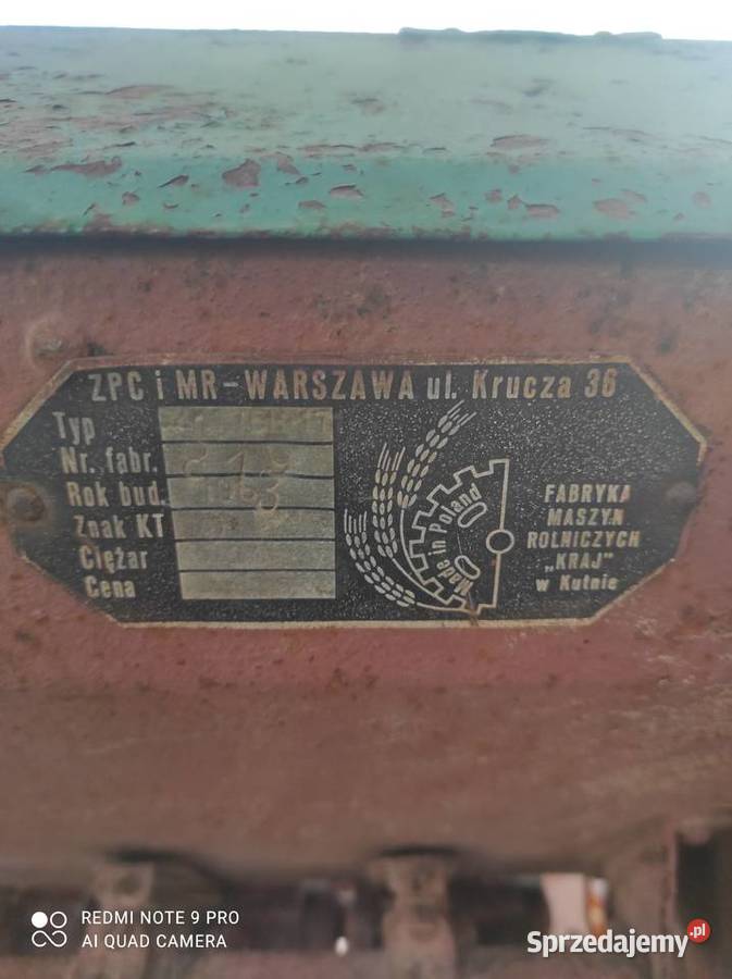 Siewnik nieuszkodzony Brzóza Królewska