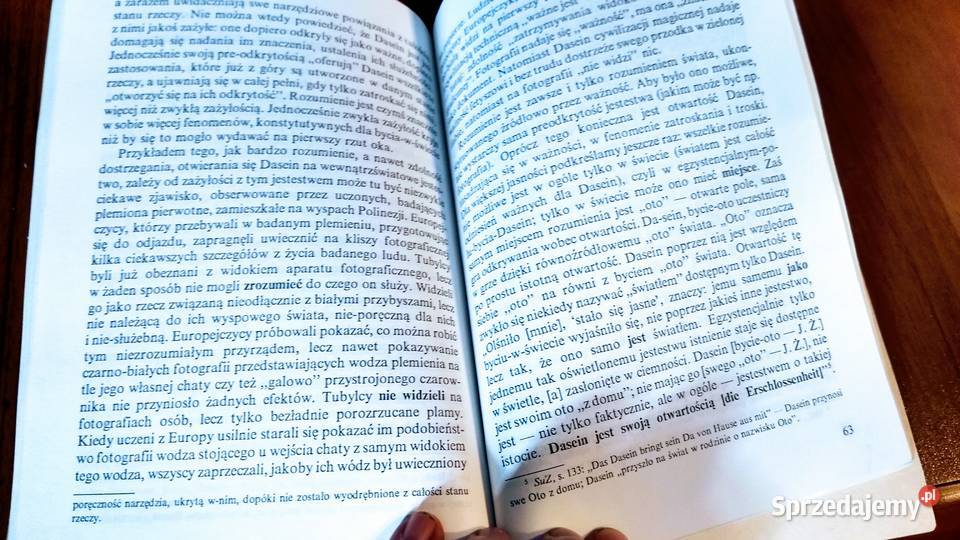 Egzystencjalia i struktury heideggerowskiego pomorskie