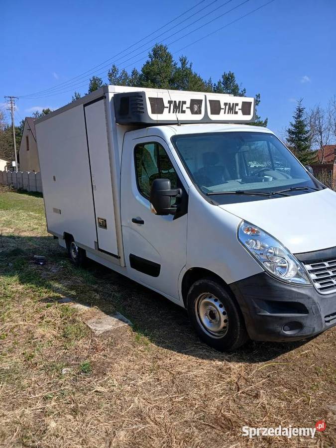 renault master chłodnia Nisko