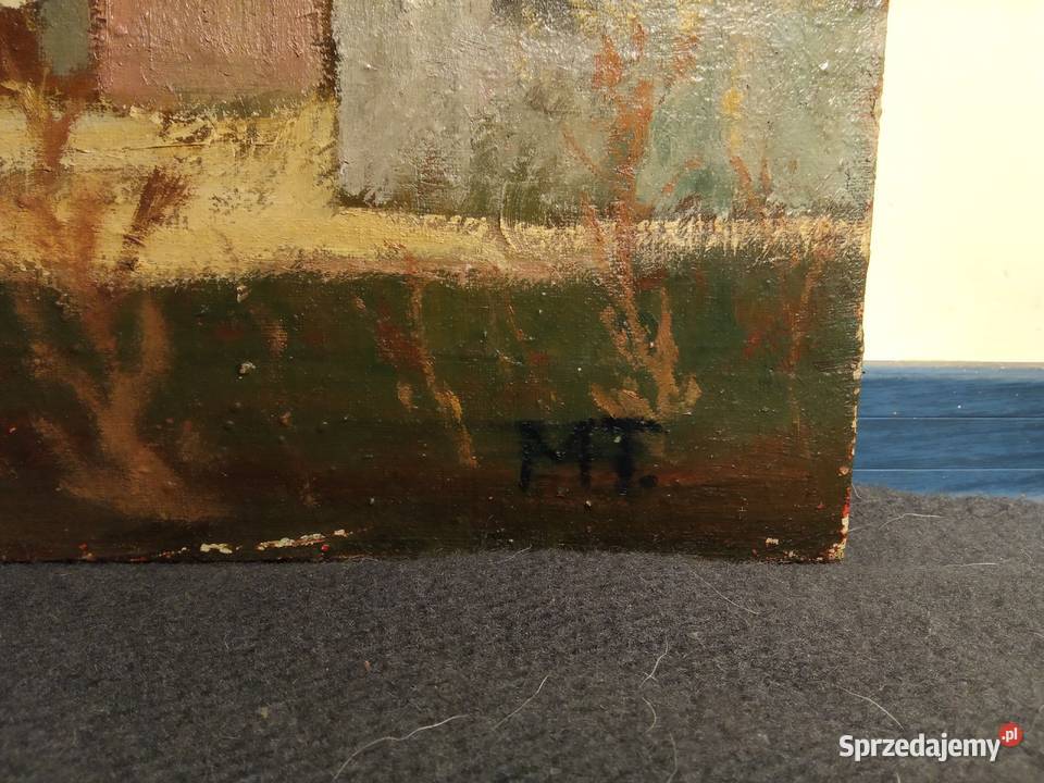 Stary obraz olejny Wieś sygnowany MT sprzedam