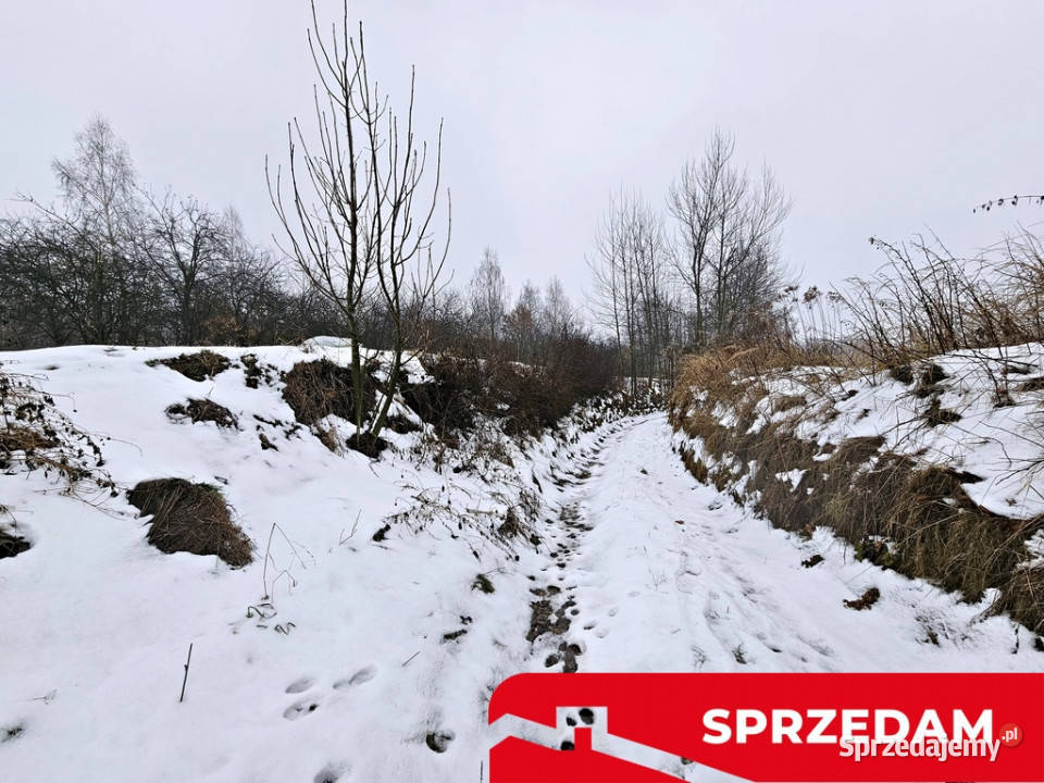 Drewniany dom z dużą działką pole sad las Domy Karczmiska Pierwsze