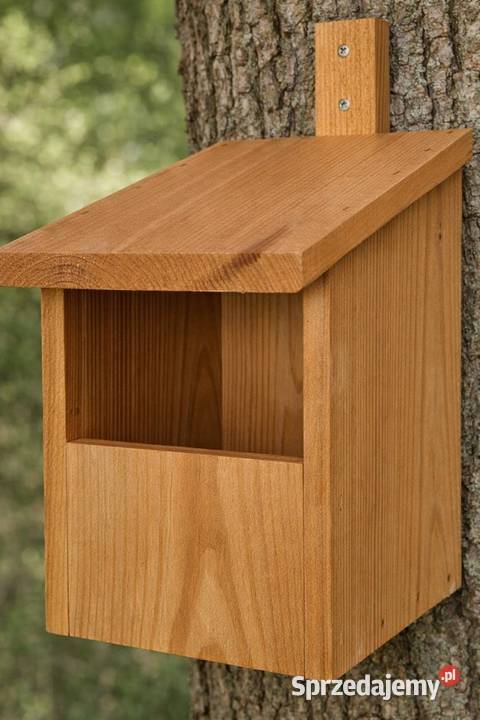 Budki ptaków Pruszcz