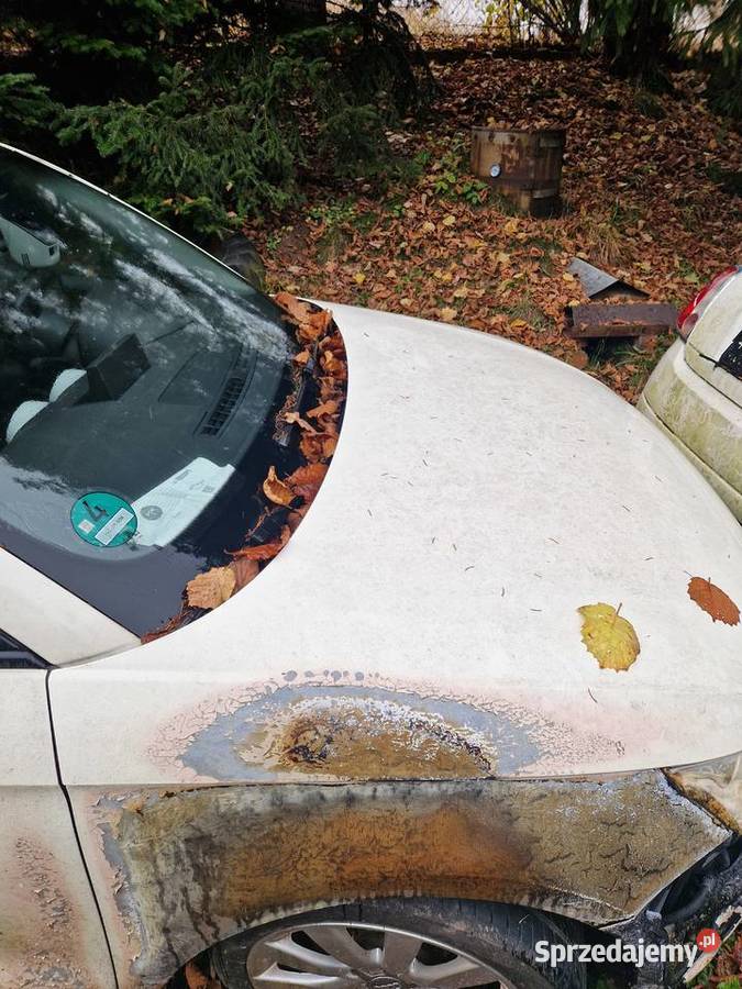 Samochod na czesci Rok produkcji 2010 Bestwina