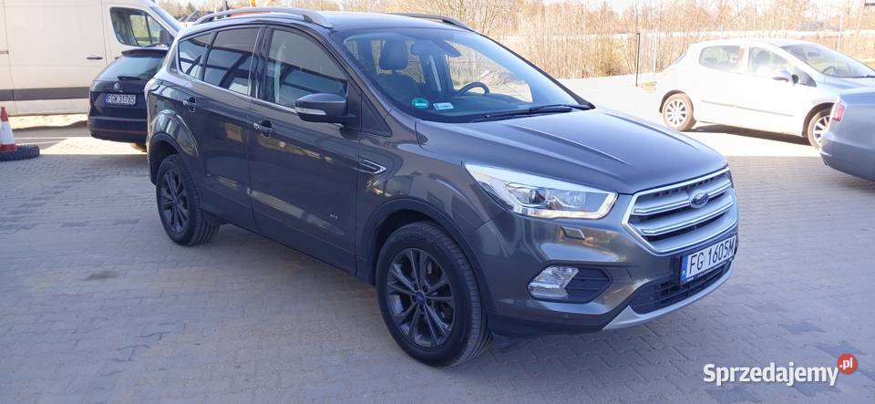 Kuga bezwypadkowa 20Gaz 242 Niski przebieg