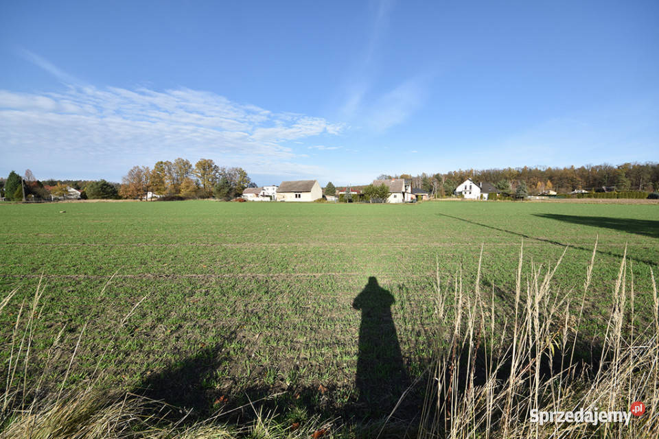 Duża działka budowlana 9051 m Turawa Marszałki