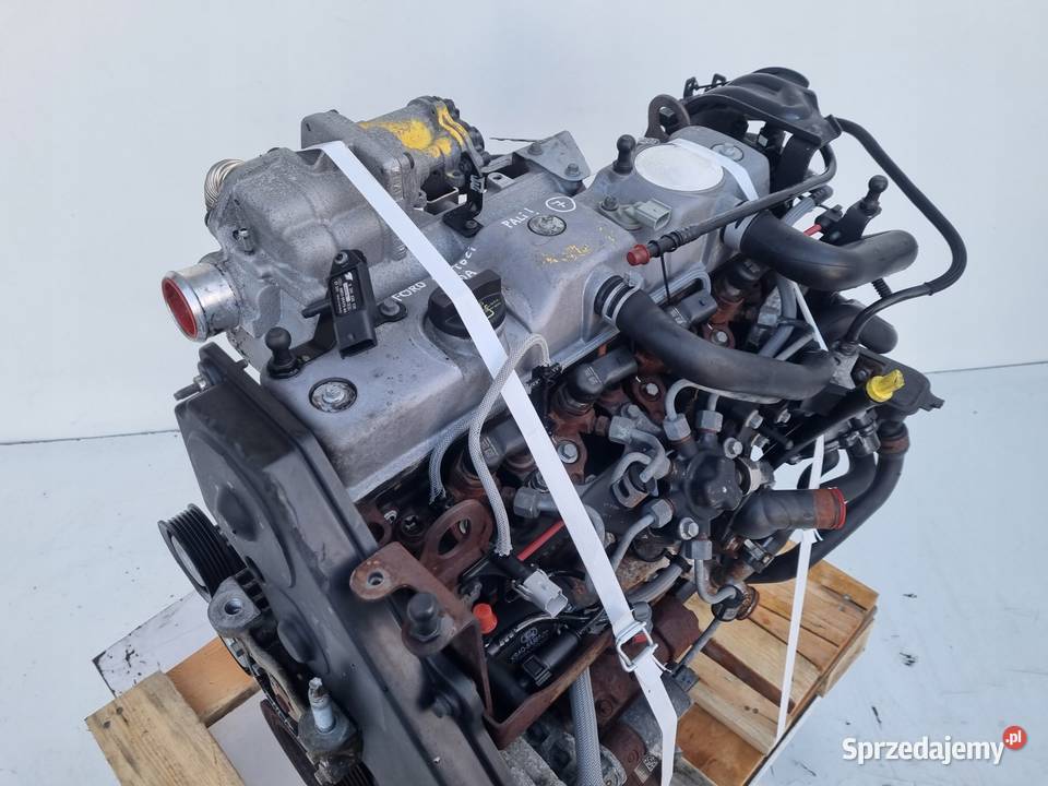SILNIK KOMPLET Ford C C 18 TDCI 115 ładnie pali Silniki kompletne lubelskie