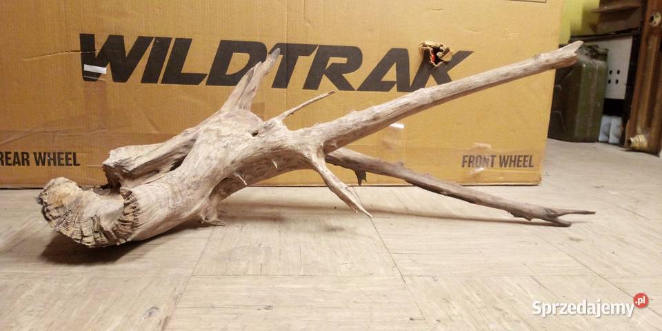 Duży korzeń do akwarium 100x50x56 centymetrów Lublin