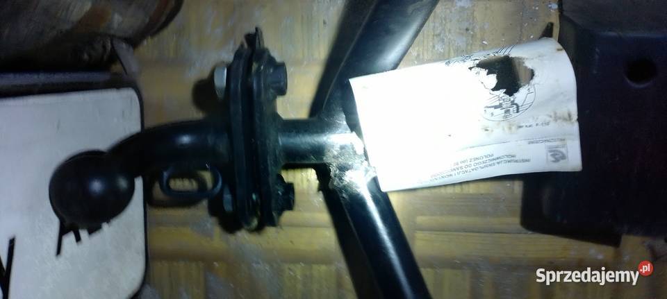 Polonez Hak borewicz i akwarium nooowy Jarosław sprzedam