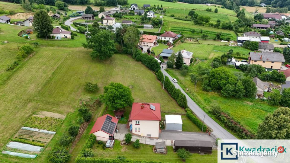 Działka 3300 metrów Skołyszyn Sprzedaż