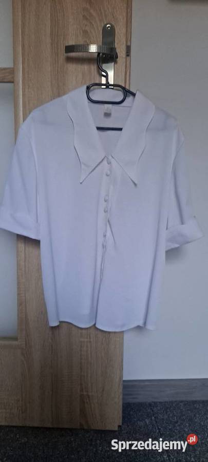 Koszula damska XL Bluzki i koszule wielkopolskie Kłoda