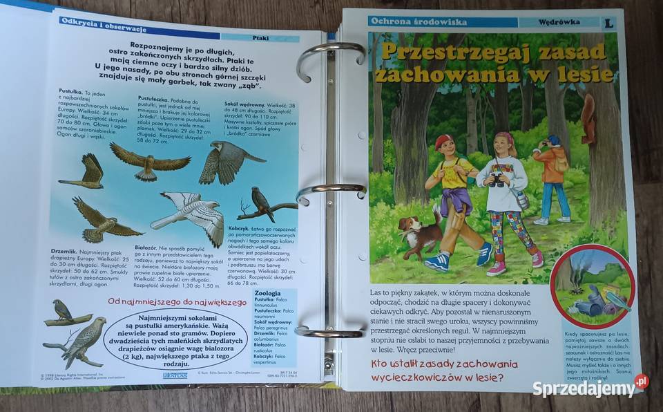 Leśne przygody karty z albumu DeAgostini hobby, kolekcjonerstwo Zbylitowska Góra