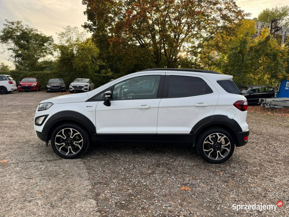 Ford EcoSport Szczecin