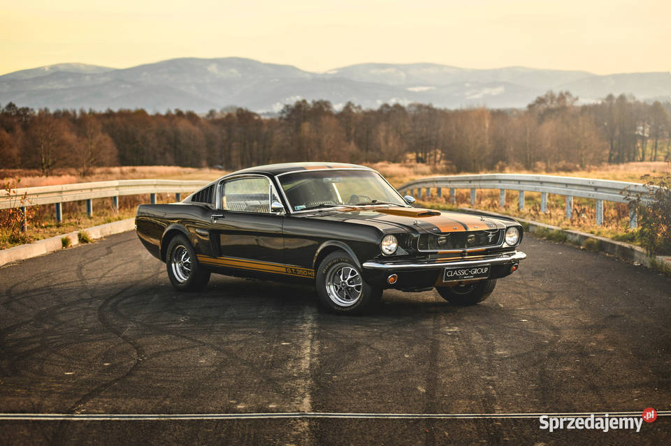 Ford Mustang Fastback 66 pełna renowacja replika Rybarzowice