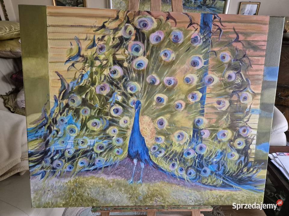 Obraz olejny Paw Szczecin