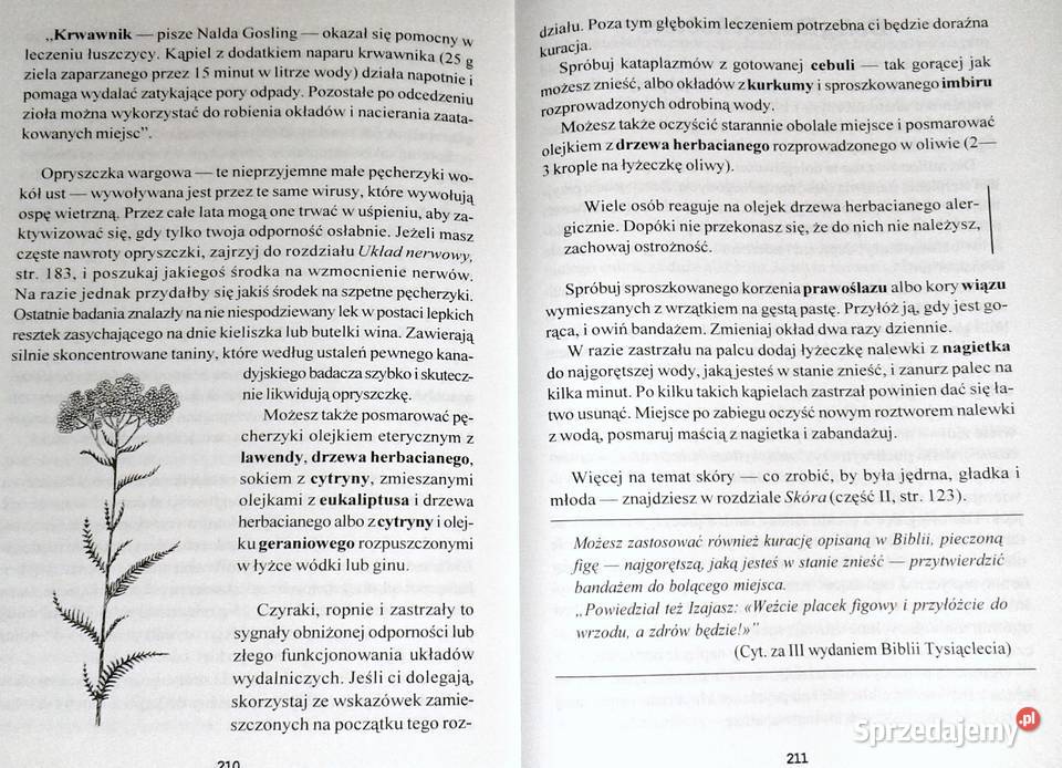 Zielona czarownica Zielnik współczesnej kobiety Chełm sprzedam