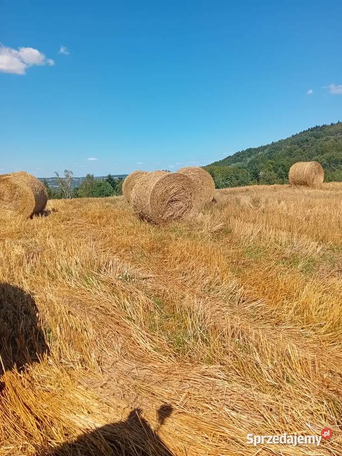 Sprzedam siano i słomę Produkcja roślinna małopolskie Czchów