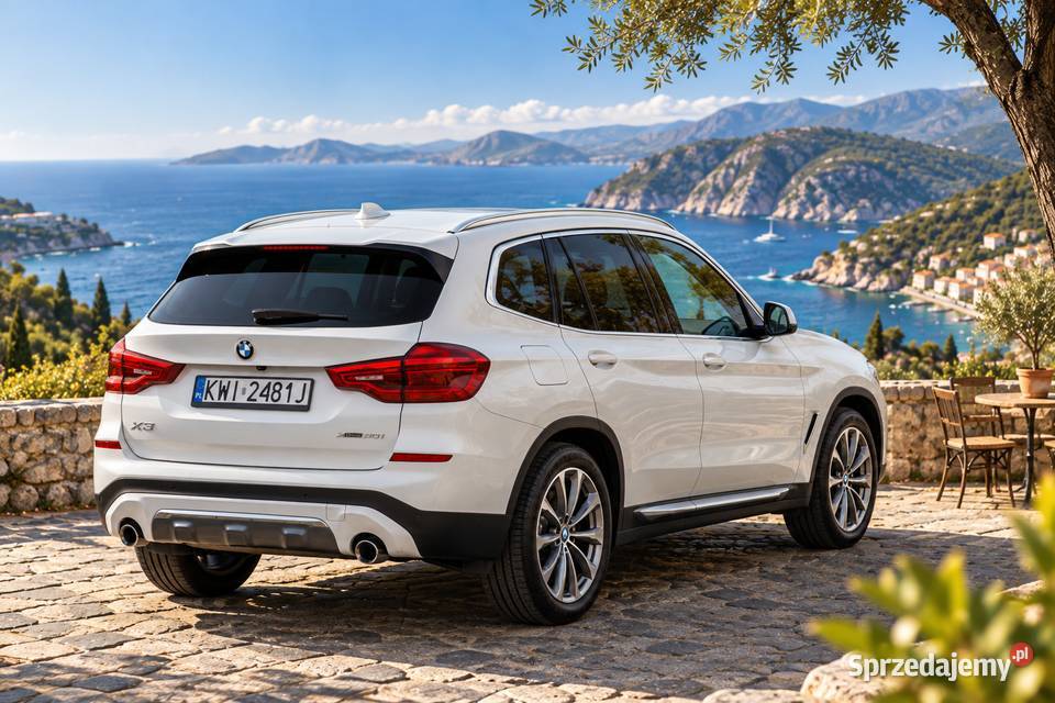 BMW X3 xDrive30i 252 Luxury Line 2019 75 300 benzyna Niepołomice