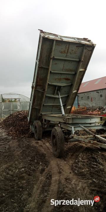 Przyczepa d551 Wąbrzeźno