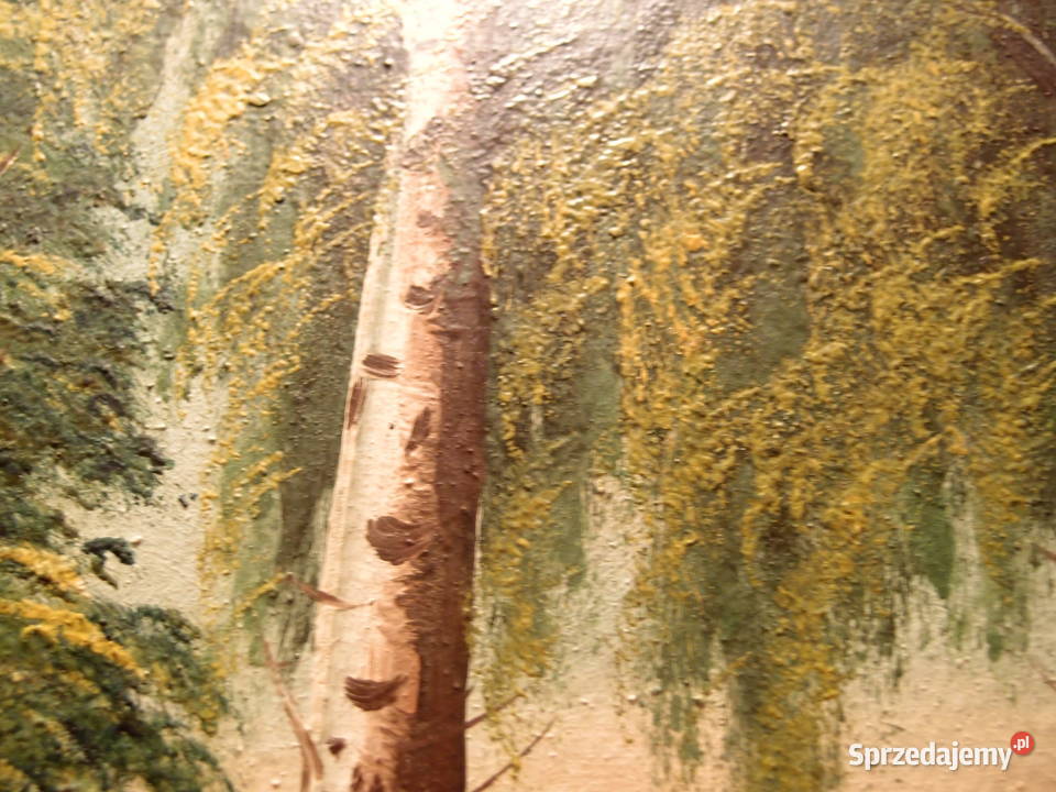 Obraz pejzaż jeziora rama drewniana z gipsową Malarstwo Łódź