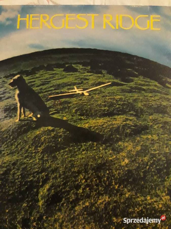 MIKE OLDFIELD HERGEST RIDGE 1974 podkarpackie Rzeszów