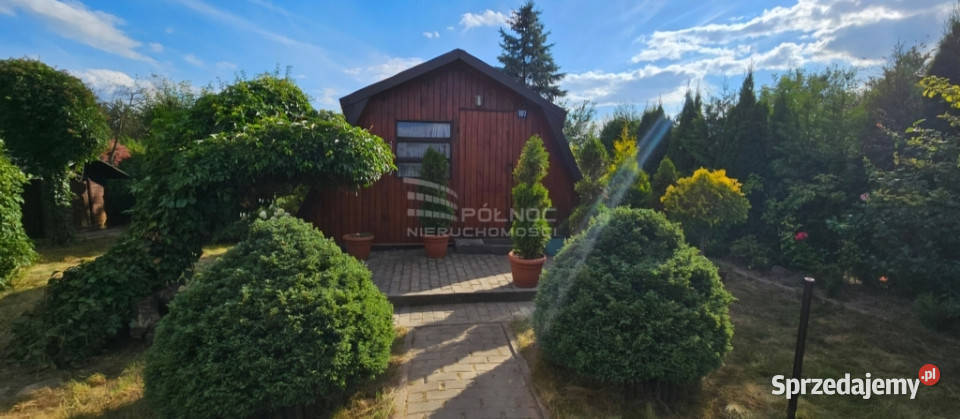 Działka ROD w Świdniku na sprzedaż