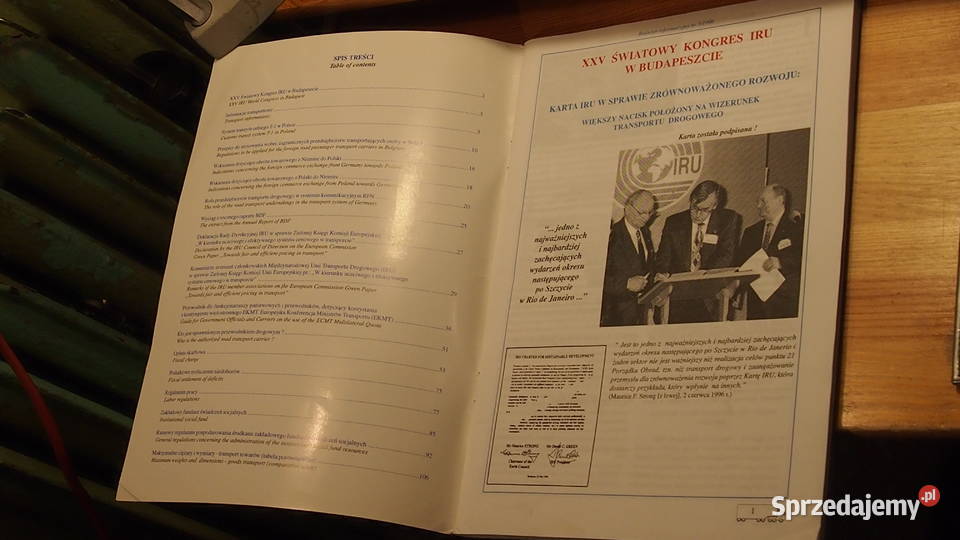 Biuletyn informacyjny ZMPD w Polsce XXXI 1996 3
