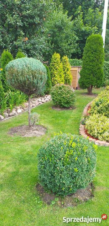 Ładna działka rekreacyjna Grunty i działki Włocławek sprzedam