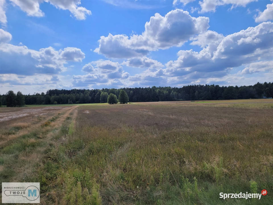 Działka 8000m2 Kluczewsko