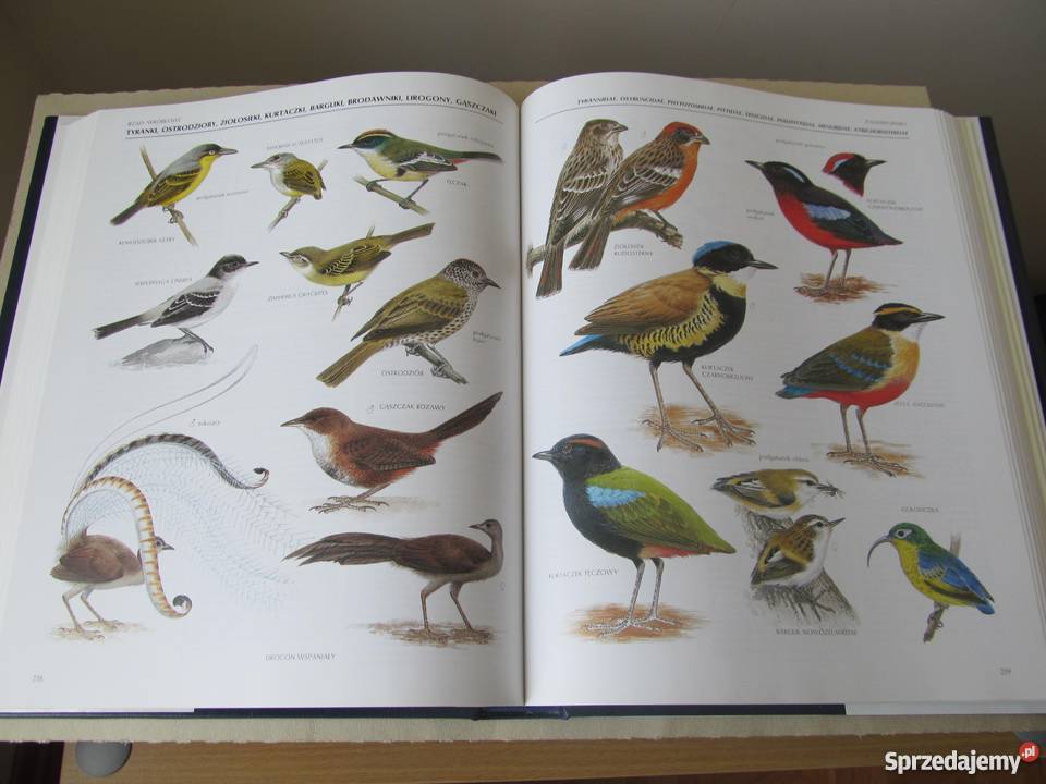 WIELKA ENCYKLOPEDIA PTAKÓW Perrins ChM twarda z obwolutą Zielona Góra