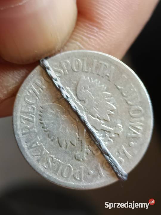 Sprzedam monete 50 groszy 1957 skretka ttt Chełm sprzedam
