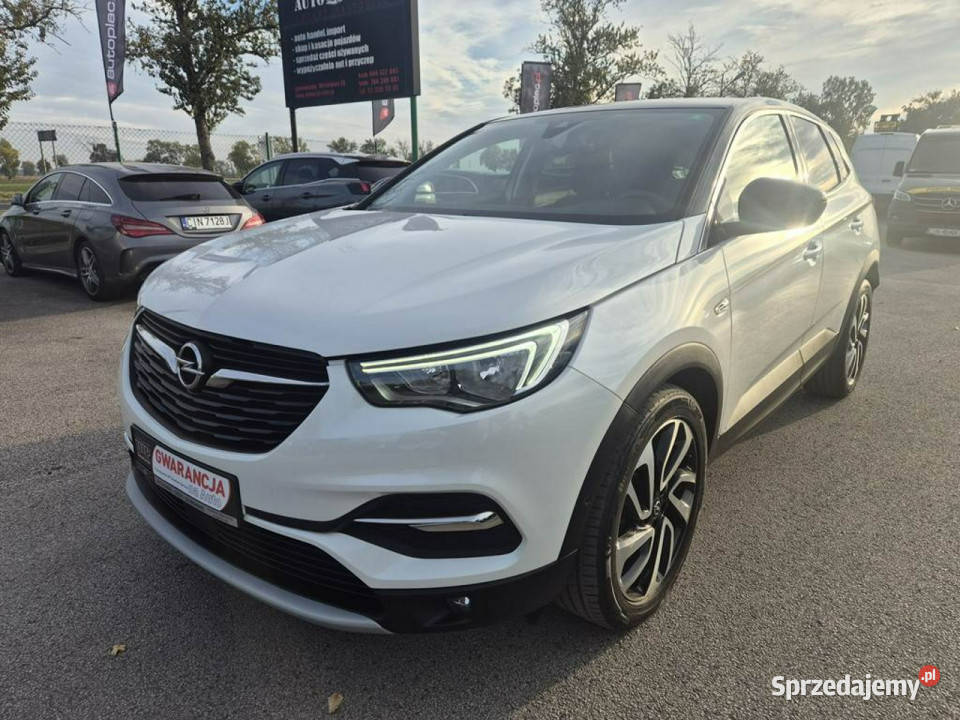 Opel Grandland X 12Turbo 130 Biała Perła tempomat Motoryzacja Gniewkowo
