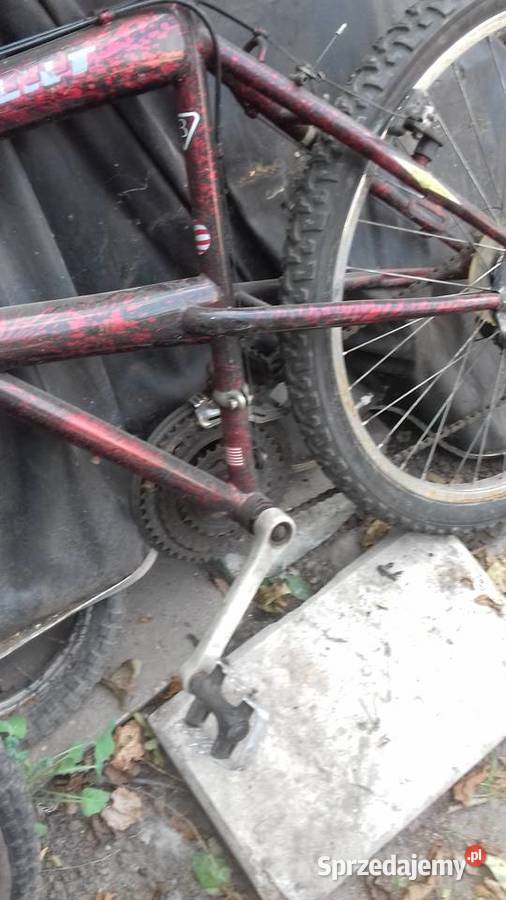 włoski rower vicini Łódź