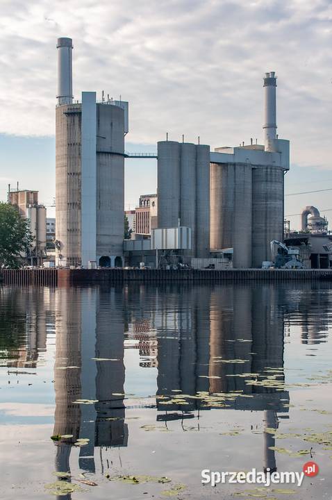 Raport Kobize Grajewo Świebodzin Mrągowo Wrocław