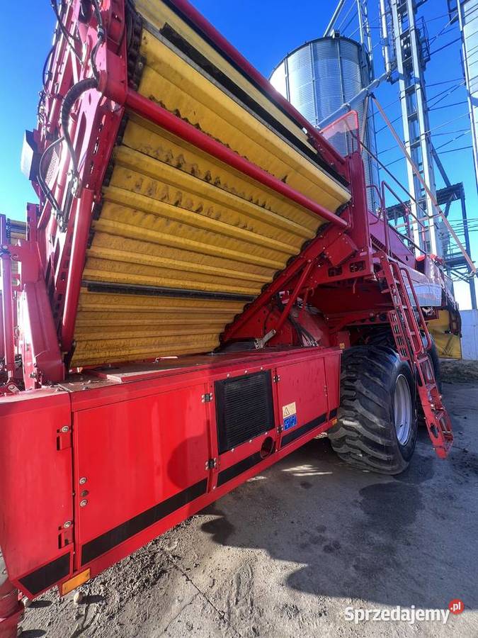 Kombajn do ziemniaków Grimme EVO 290 AirSep 2017 Nowa Wieś Książęca