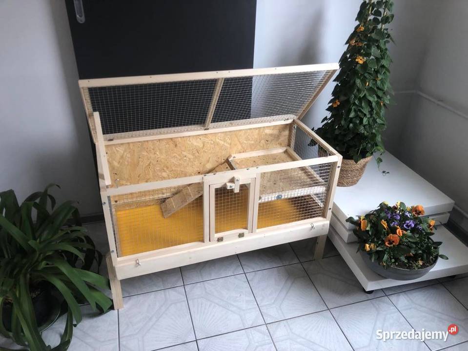 Klatka drewniana zagroda królika świnki morskiej Myszków