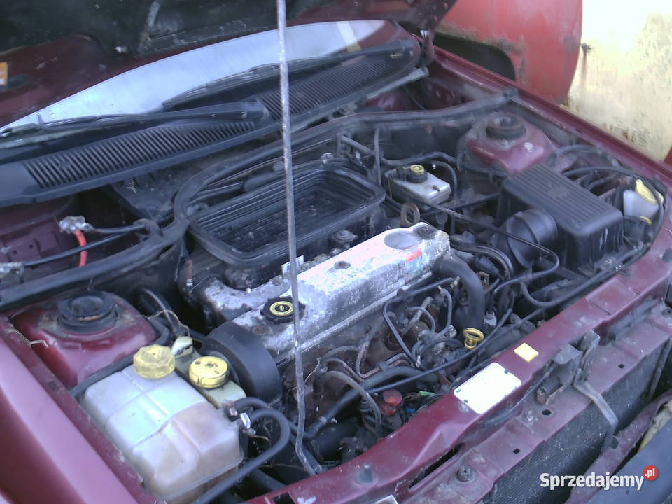 Ford escort hattback zderzak lampy tyl przod i osobowe pomorskie Lębork