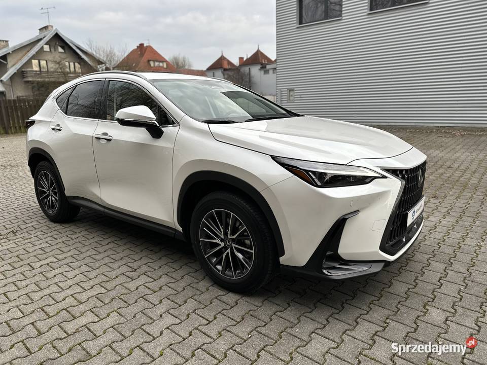 Lexus NX 350h 4x4 business edition wynajem z Warszawa