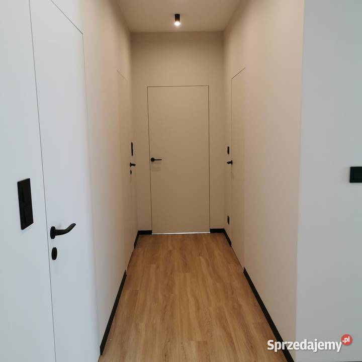 Drzwi z ukrytą ościeżnicą Warszawa