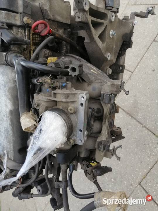 fiat Panda II Punto II 12 8v silnik kompletny Jastrzębie-Zdrój