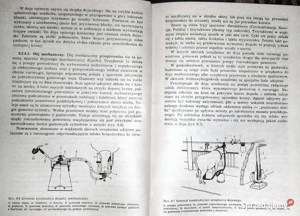 Zarys szczegółowej hodowli zwierząt Ewald Chełm