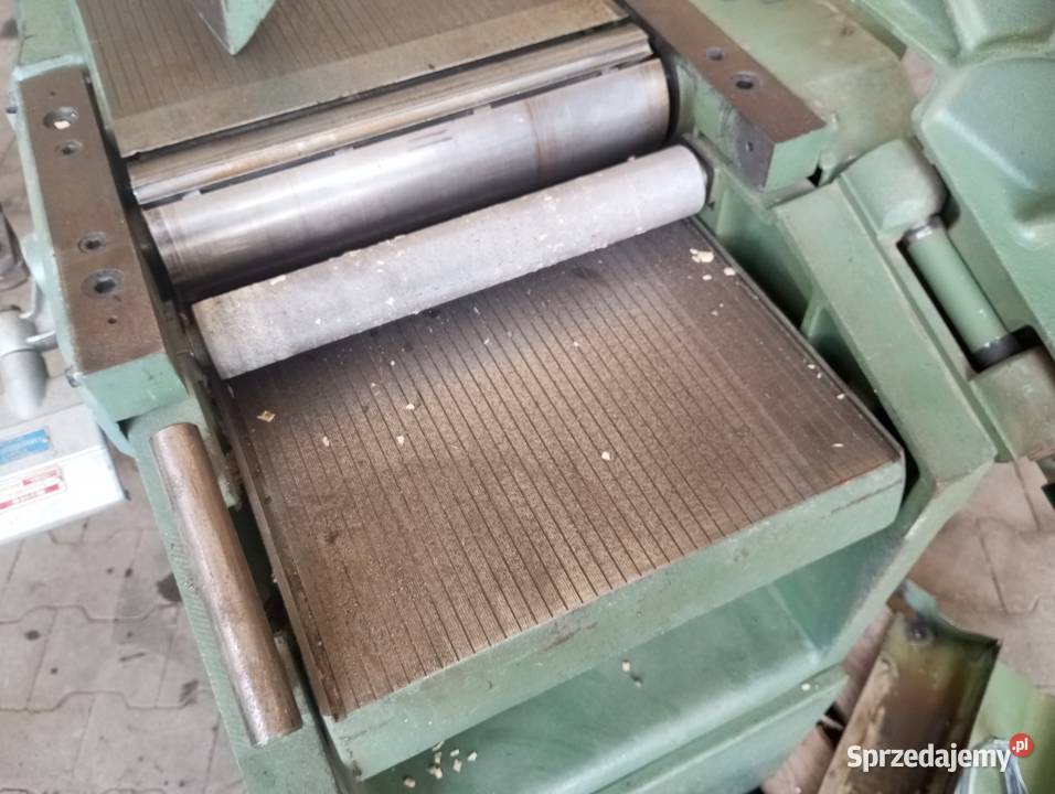 Grubościówko wyrówniarka Buk