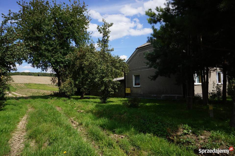 Dom MiechówCharsznica UniejówParcela Miechów-Charsznica