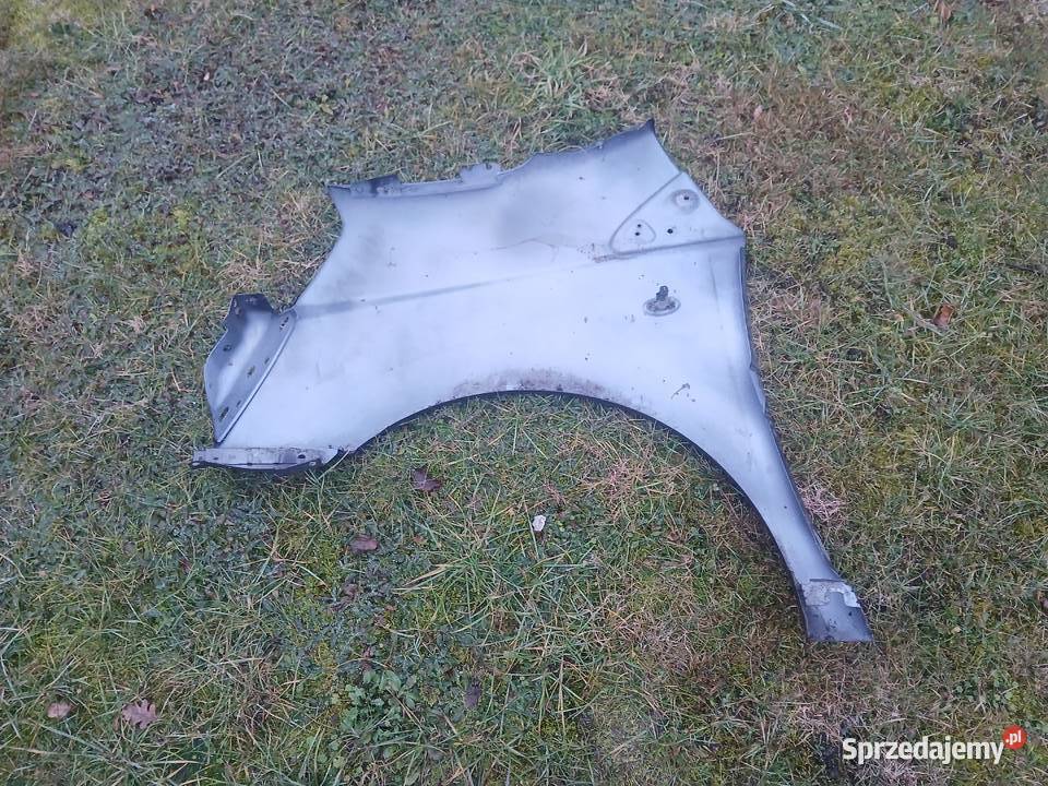 Błotnik prawy Expert Scudo Jumpy II lak EZW Błotniki Radłów