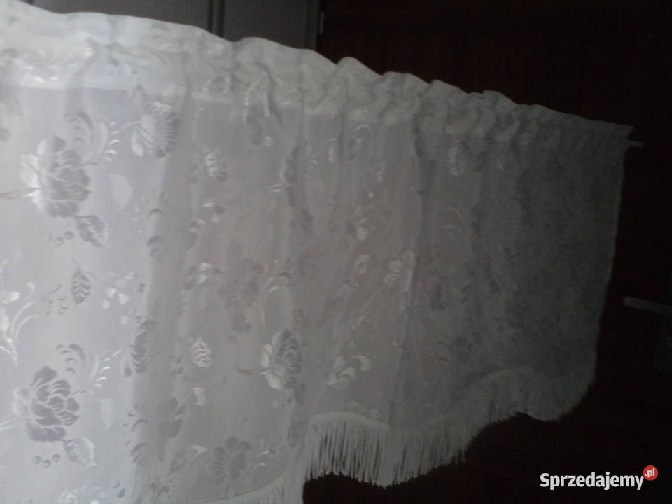 zazdroska lambrekin12550 Włocławek