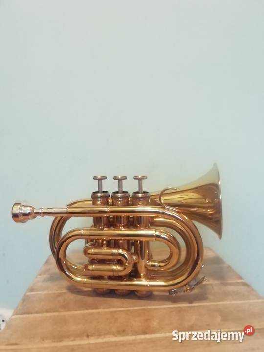 Mosiężna trąbka blaszane Kraków